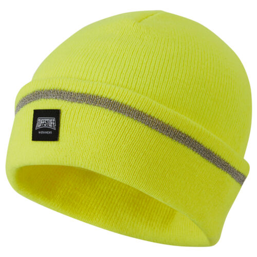 Reflective Thinsulate Beanie — style reference